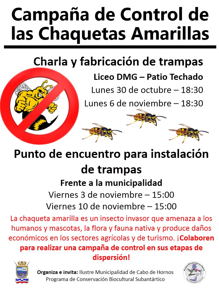 COMIENZA CAMPAÑA DE CONTROL AVISPAS CHAQUETAS AMARILLAS EN CABO DE HORNOS “CHAO..MAL BICHO”